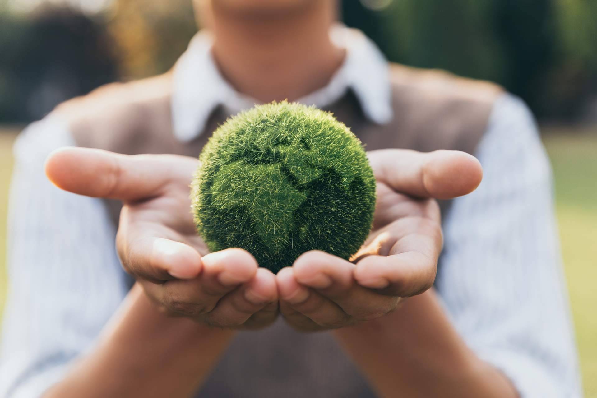 La clave para enfrentar el cambio climático y promover la sostenibilidad, la educación ambiental