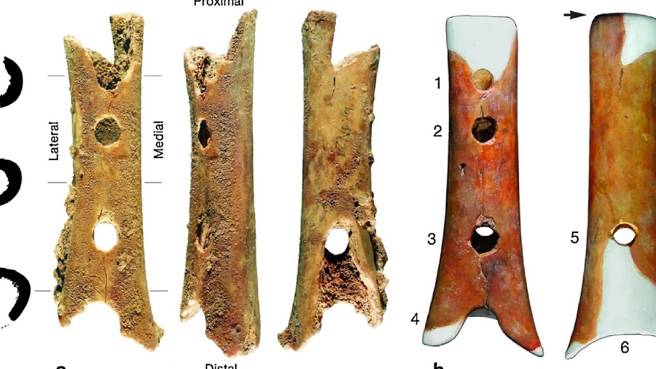 Las primeras flautas de la humanidad