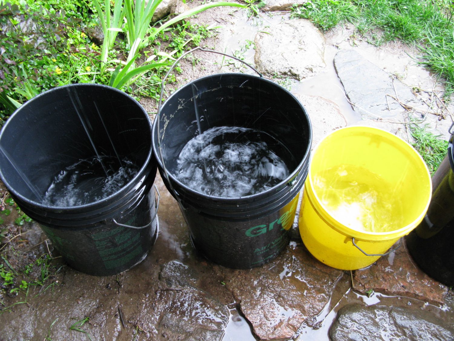 ¿Cómo la agricultura sostenible puede ayudar a preservar el agua?