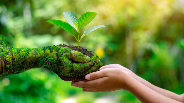 Practica los cuidados generales al medio ambiente