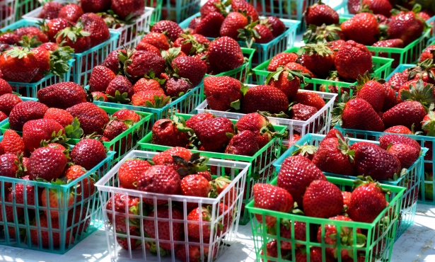 Aldi y Lidl boicot fresas