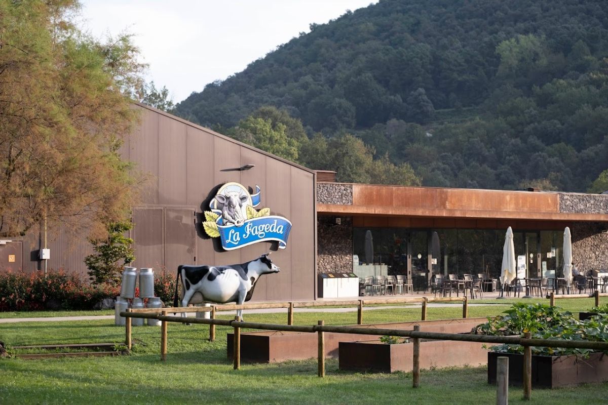 El fundador de La Fageda se cuela entre los 50 líderes empresariales con mejor reputación, según el ranking Merco