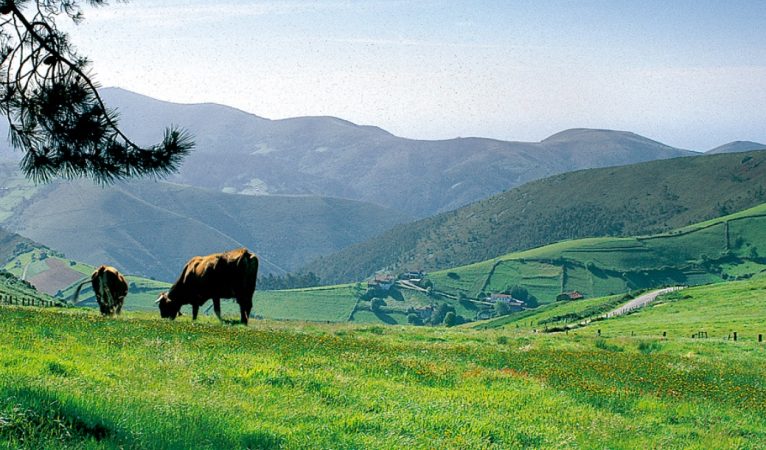 Cudillero pueblo de Asturias 2 Merca2.es
