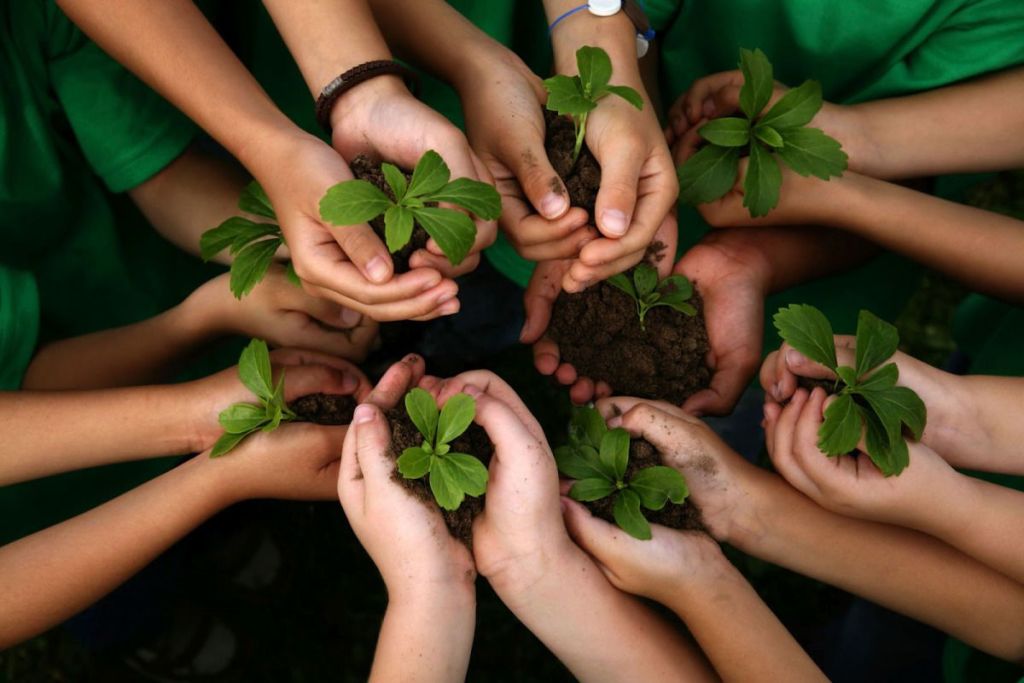 ¿Qué es la gestión ambiental?