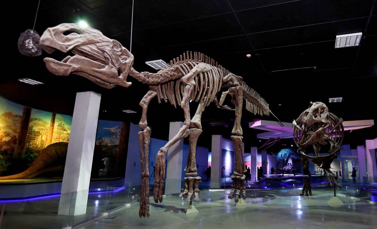 Museo de la Evolución Humana, Burgos: conoce la historia de la humanidad en un viaje fascinante