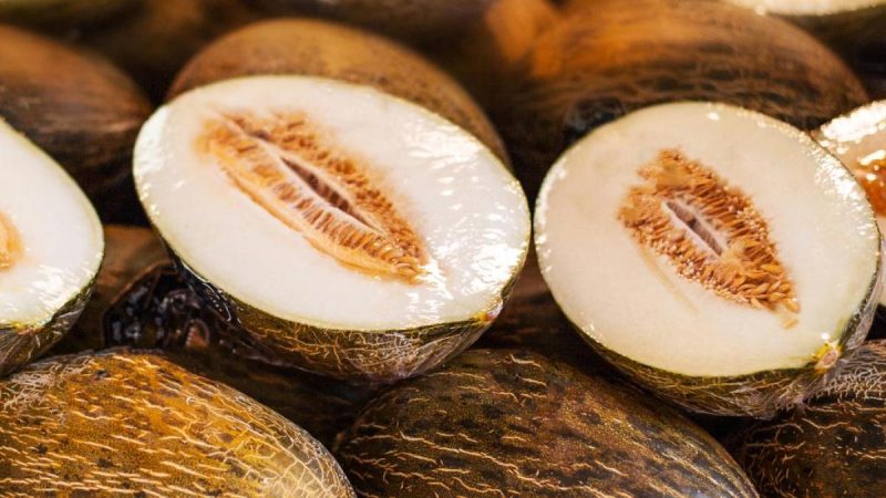 El último consejo de la OCU para que compres el mejor melón