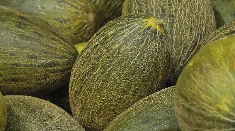 La OCU nos indica que muchos tienen la costumbre de manipular los melones