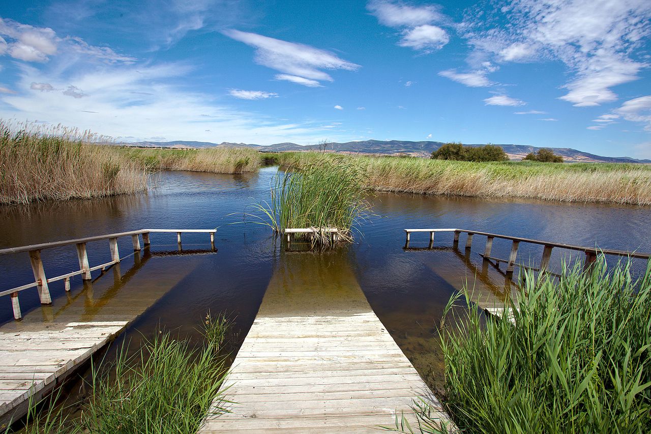 Visita a Las Tablas de Daimiel