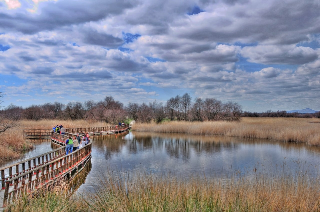 Museo de la Naturaleza del Parque
