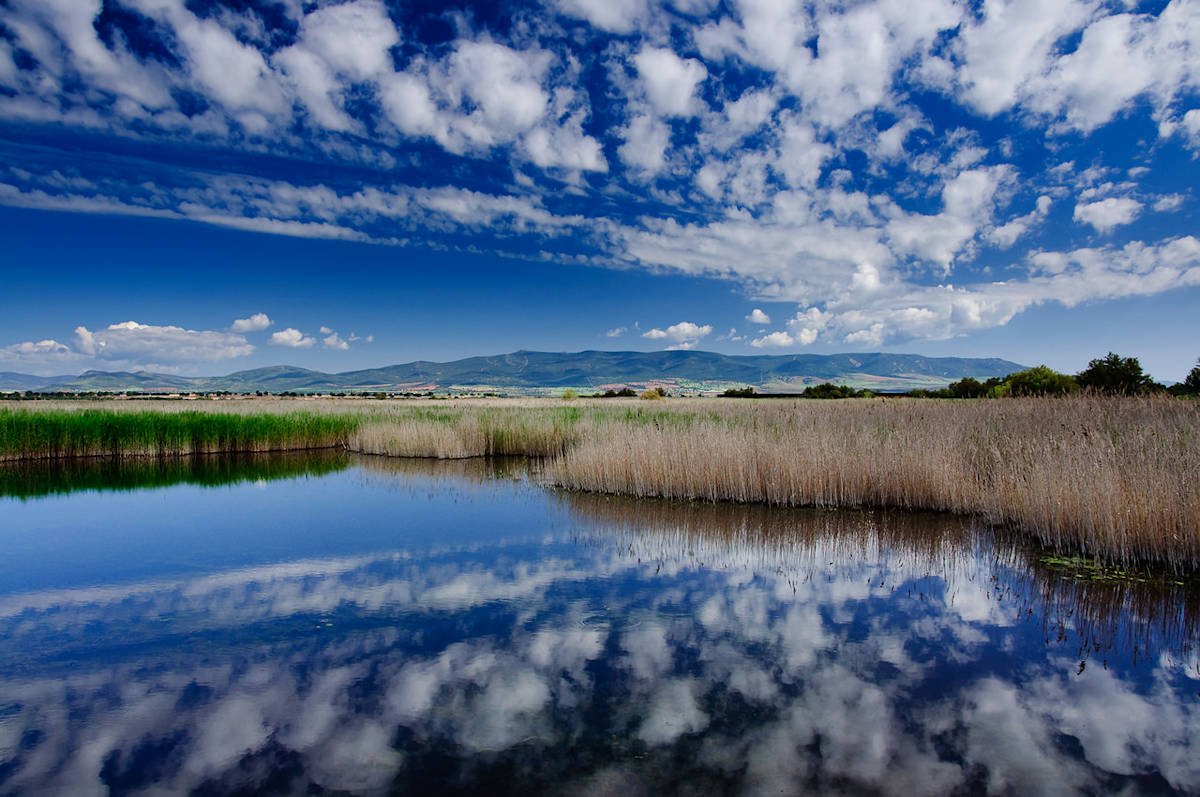 Qué ver en el Parque Nacional de las Tablas de Daimiel