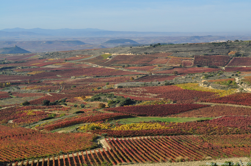 Ruta del Vino, La Rioja: así es la cultura vitivinícola española