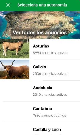 ¿Quién la creó y cuándo?