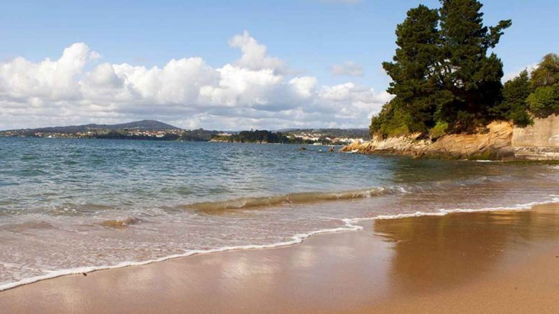 Estas son las playas más peligrosas, inseguras y sucias de España 11 Merca2.es bacterias Merca2.es