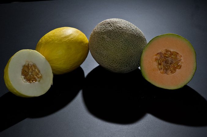 Guárdalo de forma hermética en la nevera