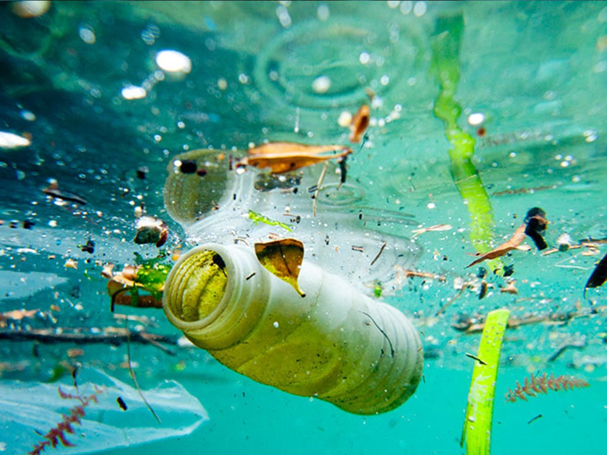Sostenibilidad: 9 cambios que debemos comenzar ahora mismo 3 Merca2.es Promover la educación ambiental