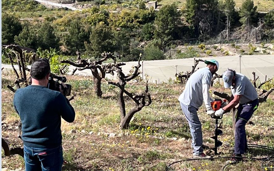 La economía verde, nicho de empleo para los trabajadores séniors