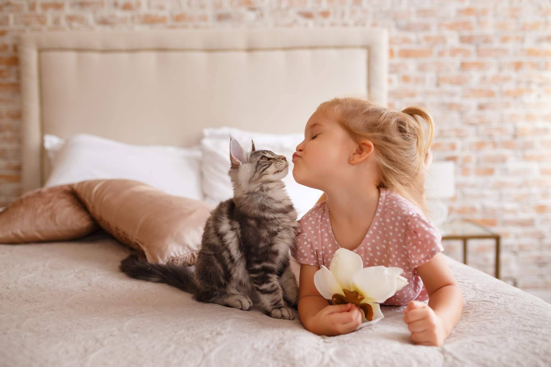 La novedosa aplicación para compartir vídeos de mascotas, ClickGuau