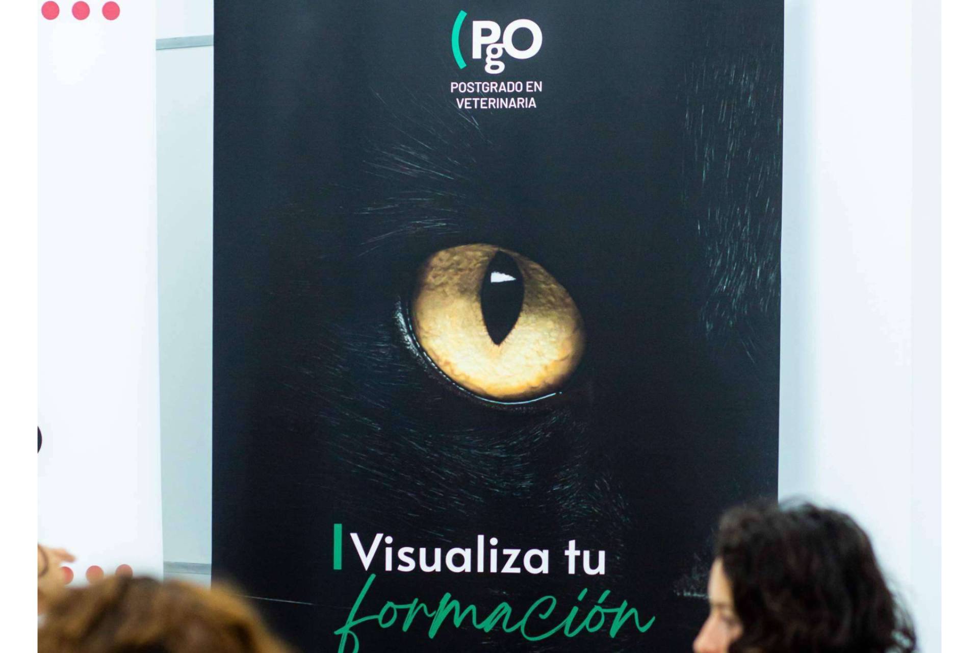 Calidad y vanguardia presentes en los postgrados de PgO Veterinaria