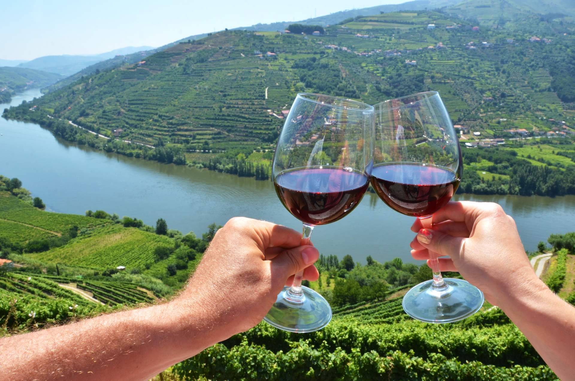 Los vinos tintos del Valle del Duero son una experiencia sensorial que transporta a la esencia de la perfección enológica