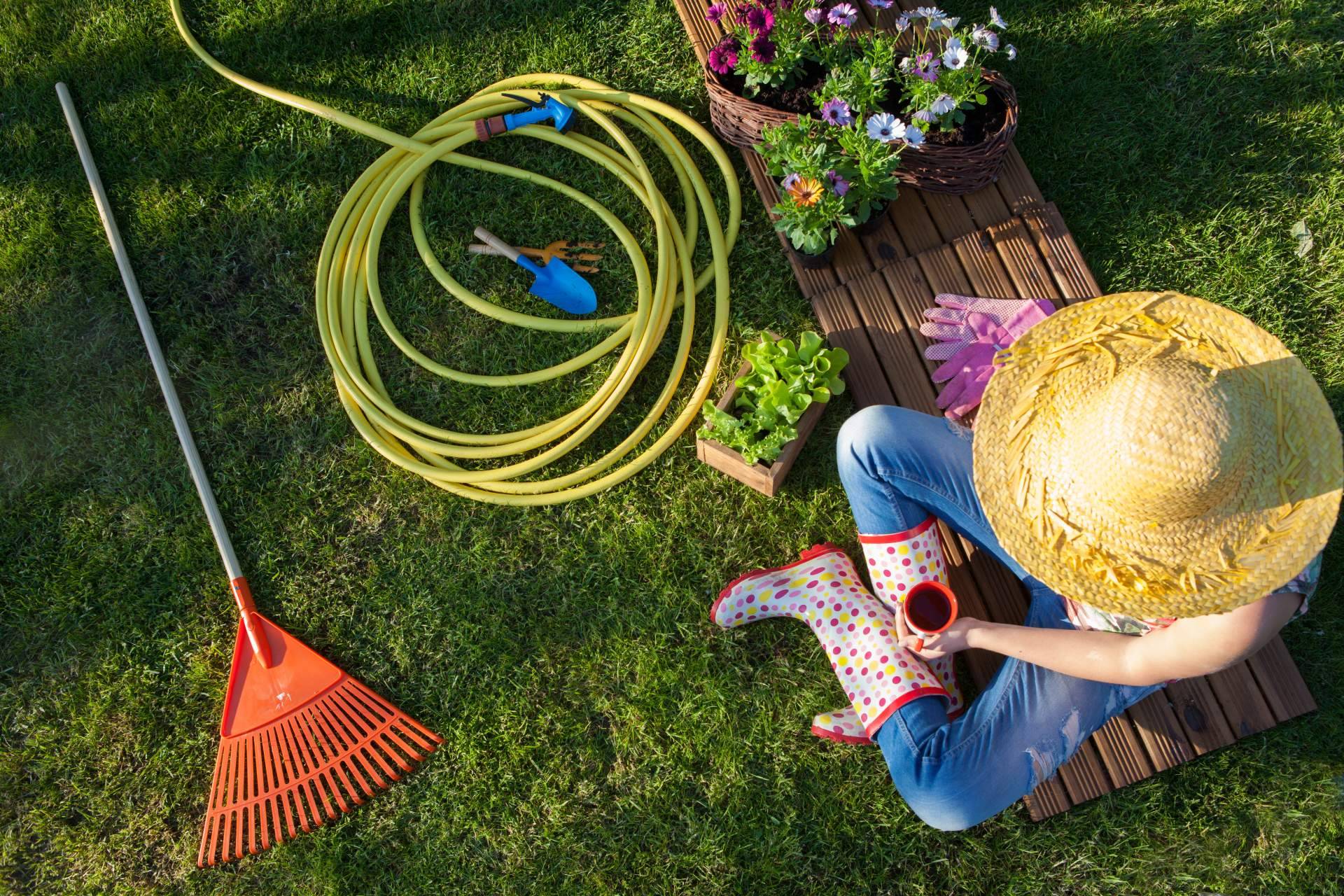 Encontrar una gran variedad de productos de jardinería en TiendaTu