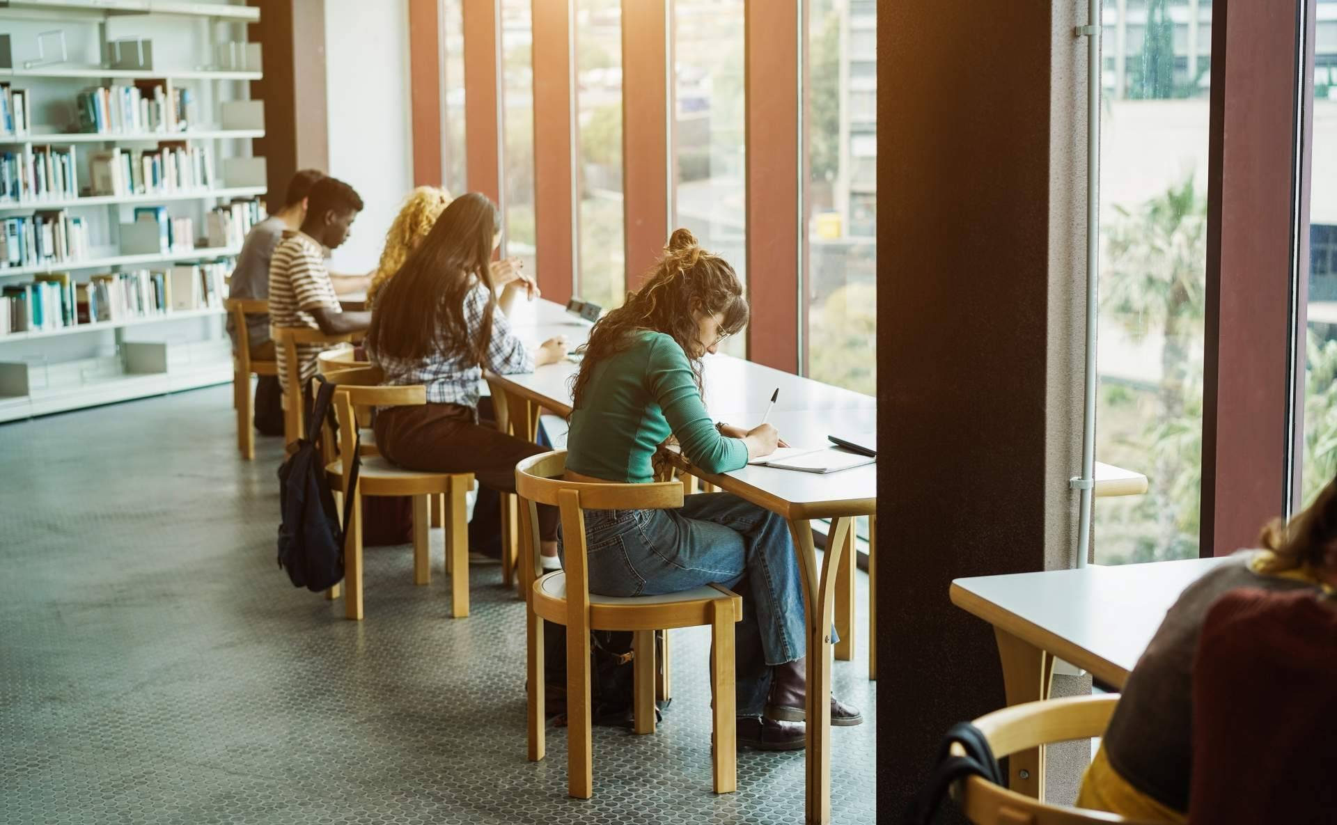 Ayuda Universitaria ofrece servicios de asesoría para estudiantes de Navarra en la elaboración de su TFG