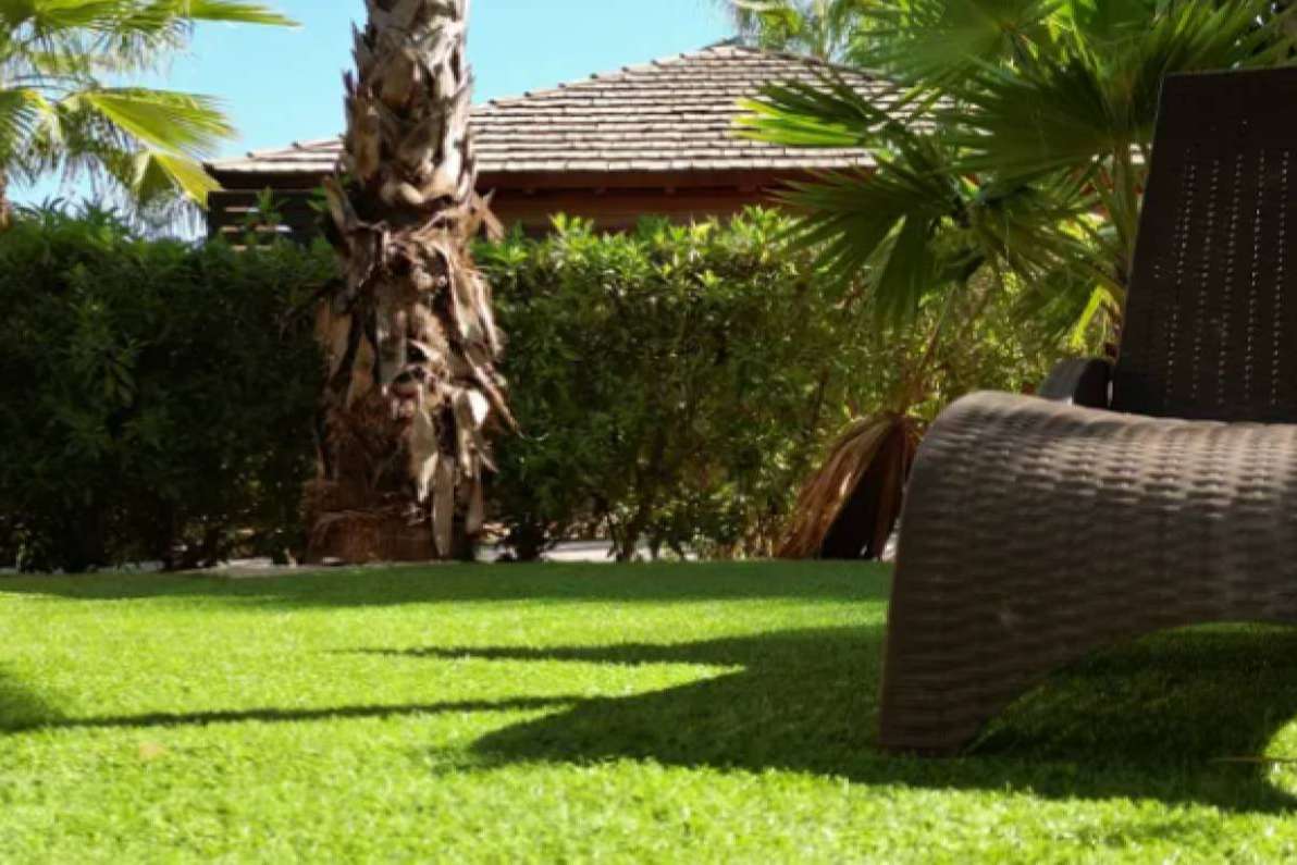 Decoración de jardines exteriores con Albergrass