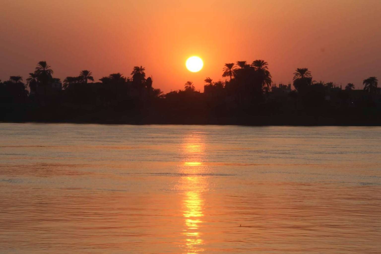 El tour por Egipto y Tierra Santa de EUROLATINO