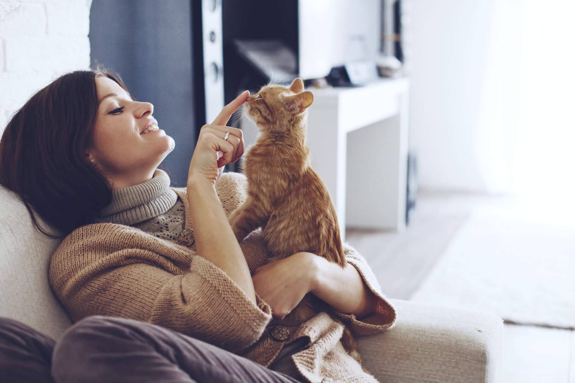 La nueva página web de Can Xana, la tienda de productos para mascotas
