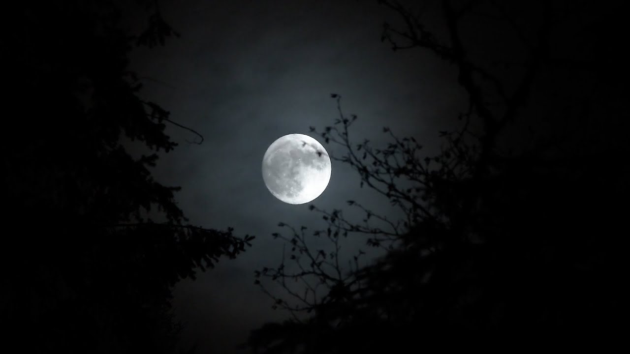 Luna de Ciervo ¿Cuándo puedes verla? y ¿Qué es?