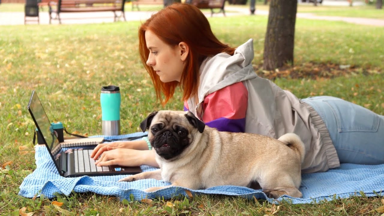 Perros que tienden a engordar