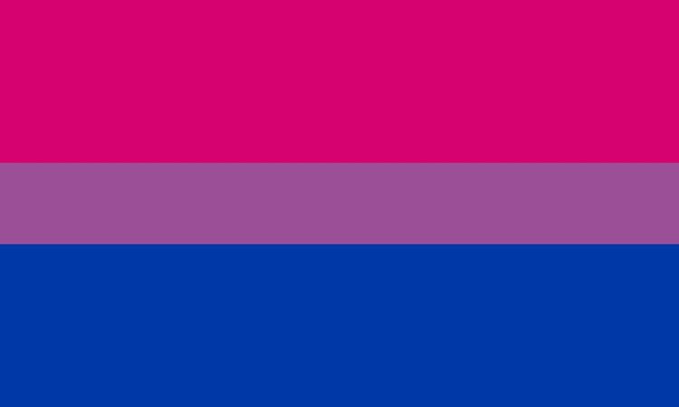 Bandera del Orgullo No Binario