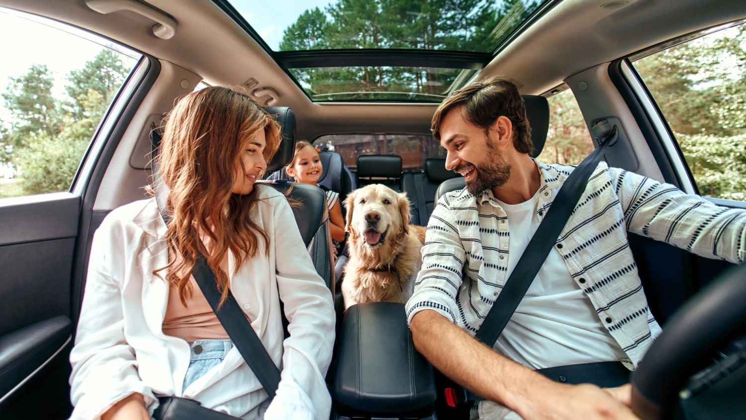 Si no quieres que la DGT te multe con 500 euros cuando viajas en coche con tu mascota, haz esto