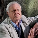 Así es como David Attenborough educa sobre la conservación: la voz de la naturaleza