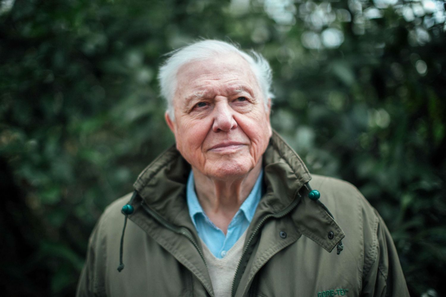 Campañas para la conservación: La Fundación de David Attenborough