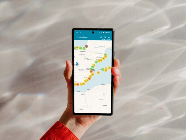 Las medusas, un temor que MedusApp puede hacer desaparecer