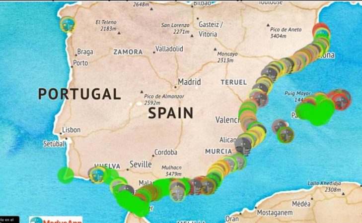 Un mapa para saber dónde están las medusas