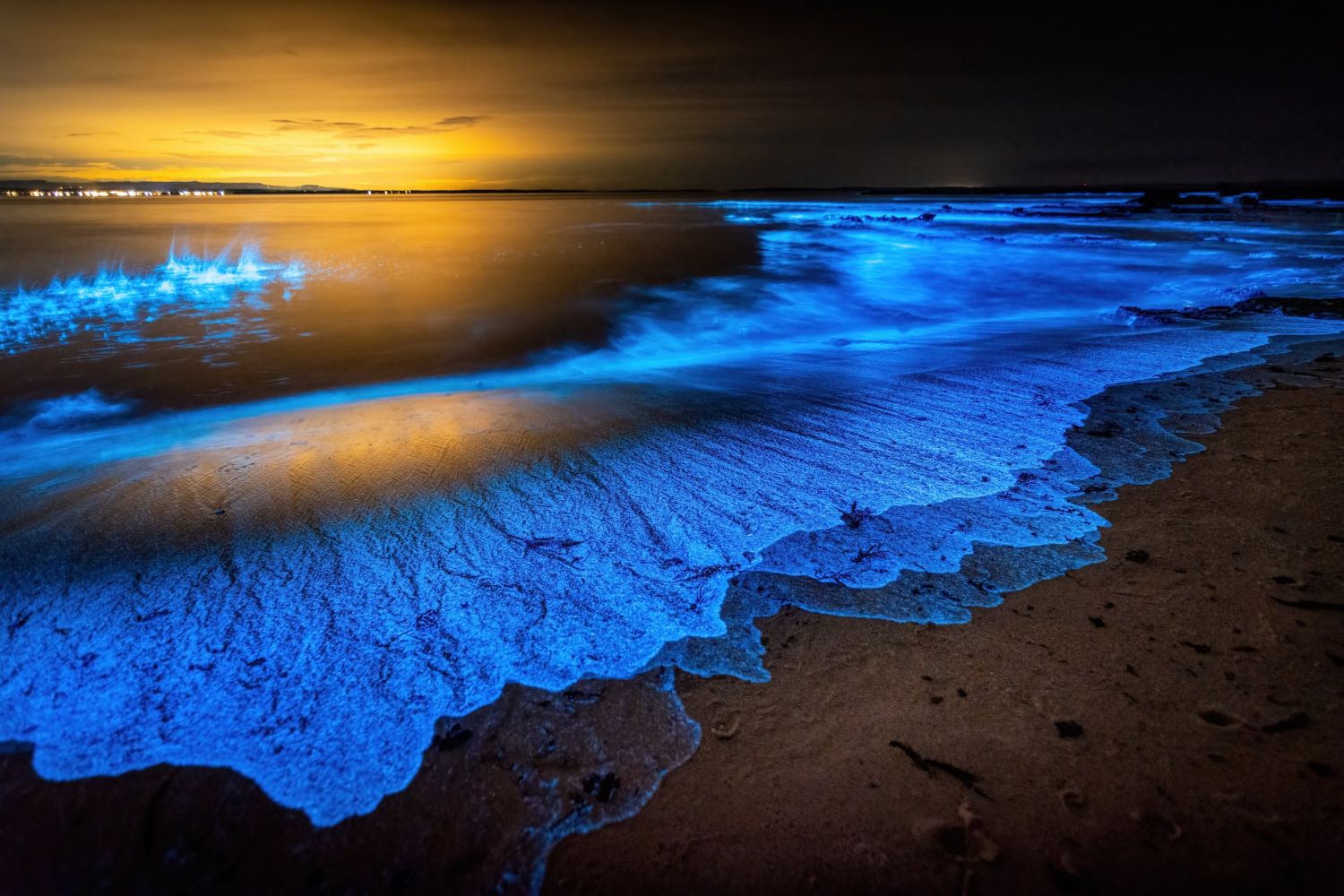No te pierdas estas playas españolas que se iluminan naturalmente por la noche