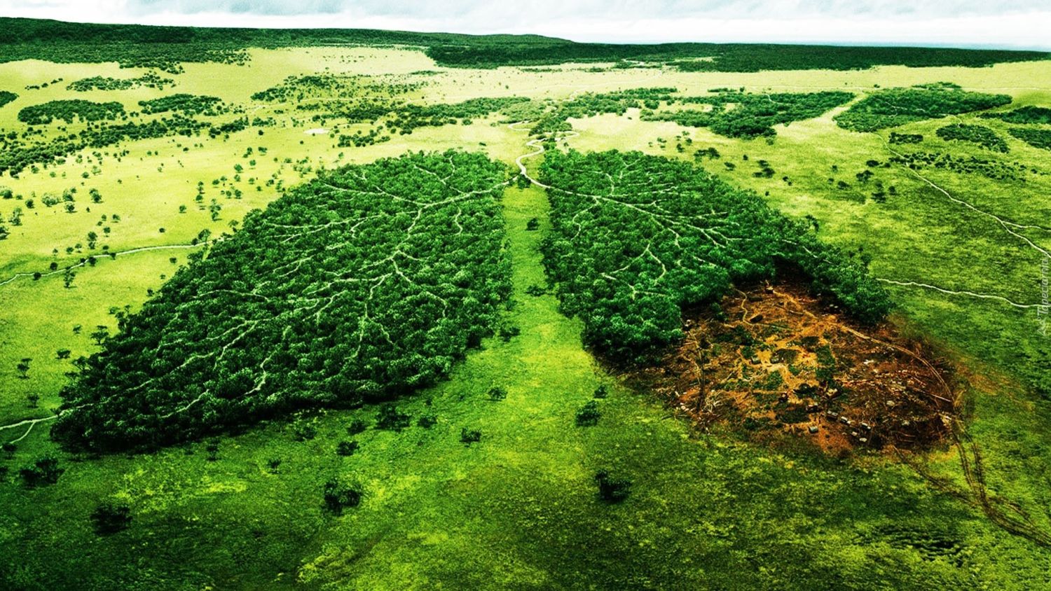 Cómo se está abordando la contaminación atmosférica en el mundo