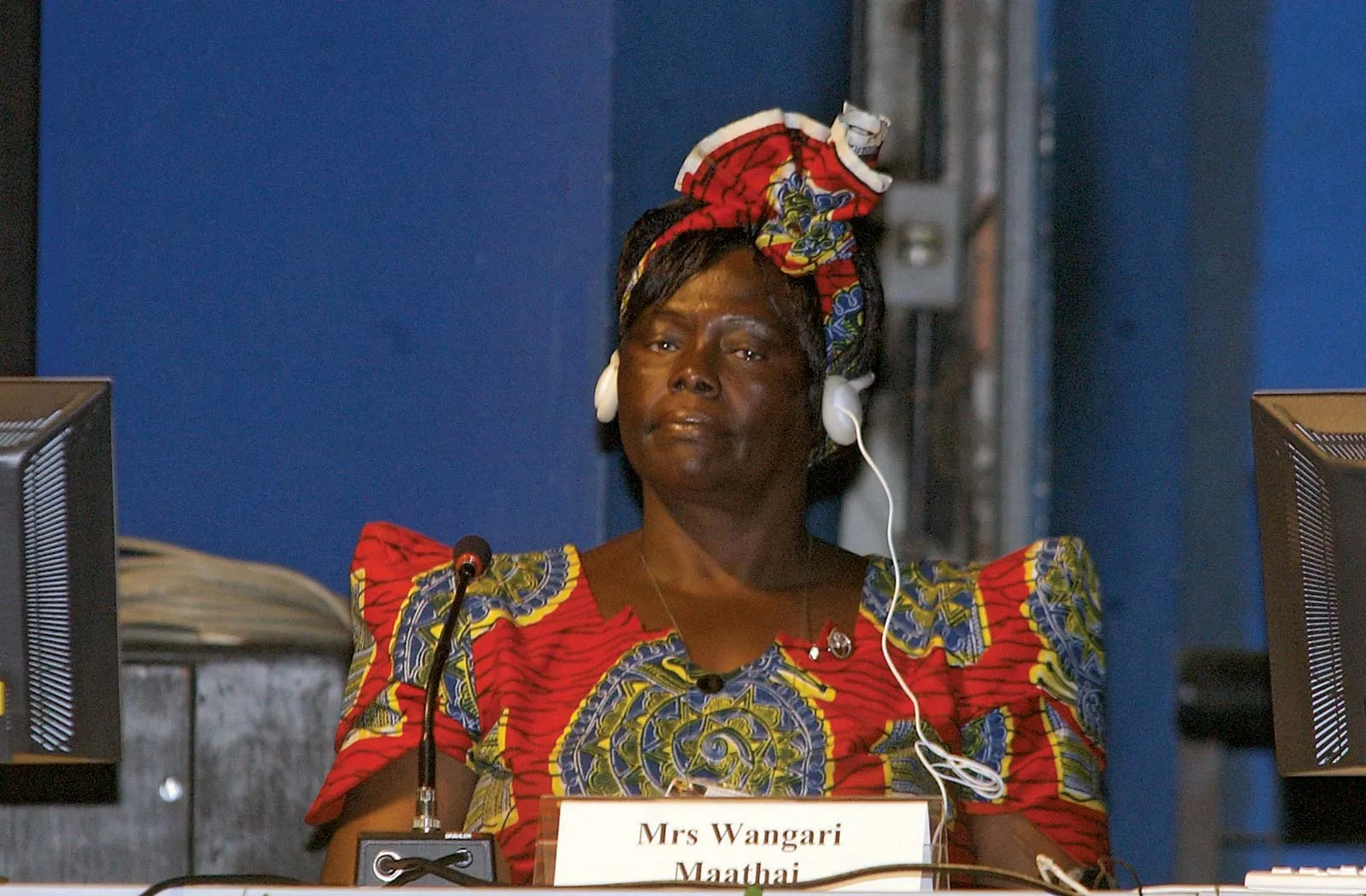 Wangari Maathai, el gran legado verde de África: cómo lideró la reforestación de Kenia 2 Merca2.es Uso adecuado de recursos