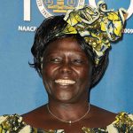 Wangari Maathai, el gran legado verde de África: cómo lideró la reforestación de Kenia