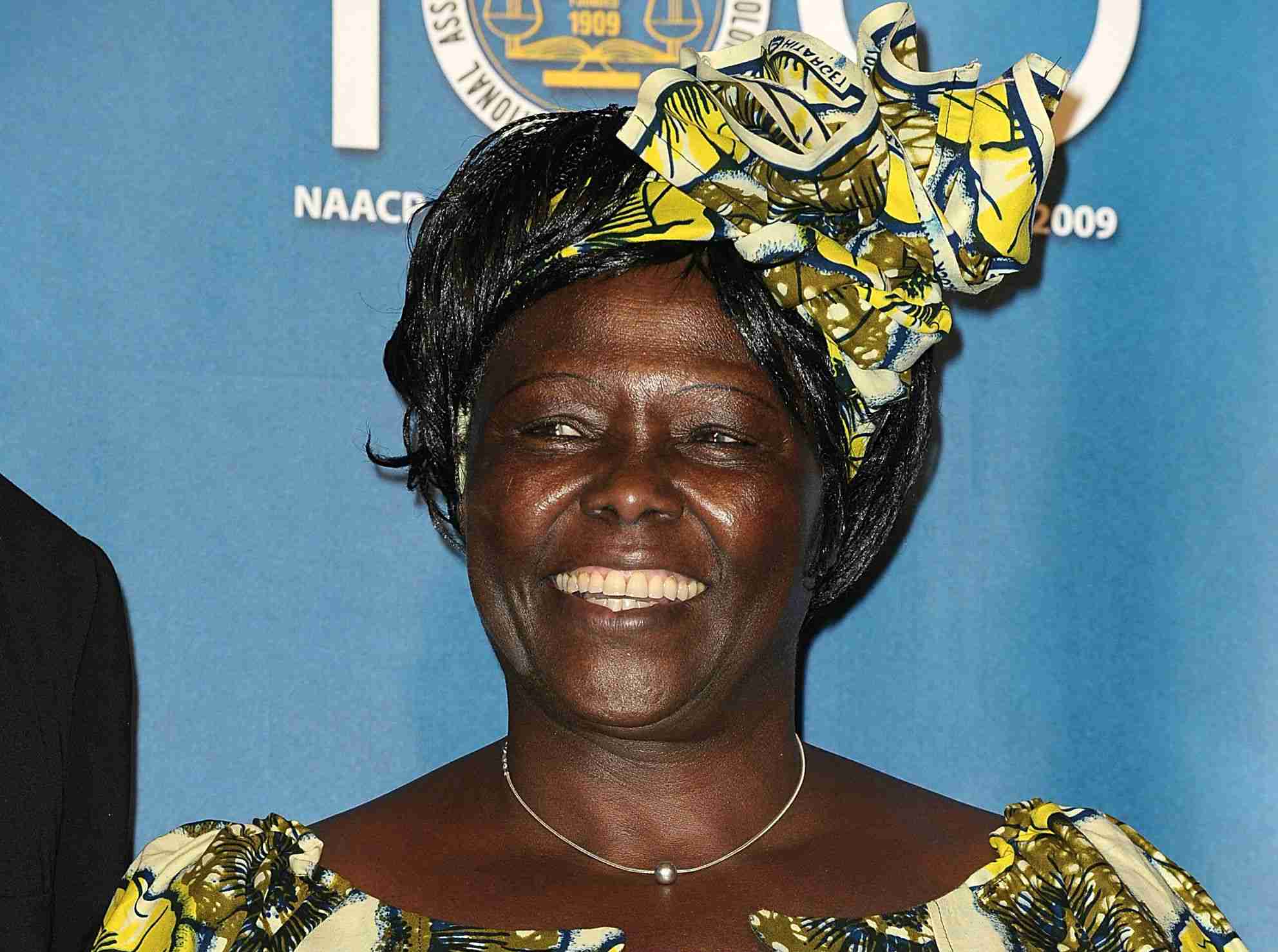 Wangari Maathai, el gran legado verde de África: cómo lideró la reforestación de Kenia
