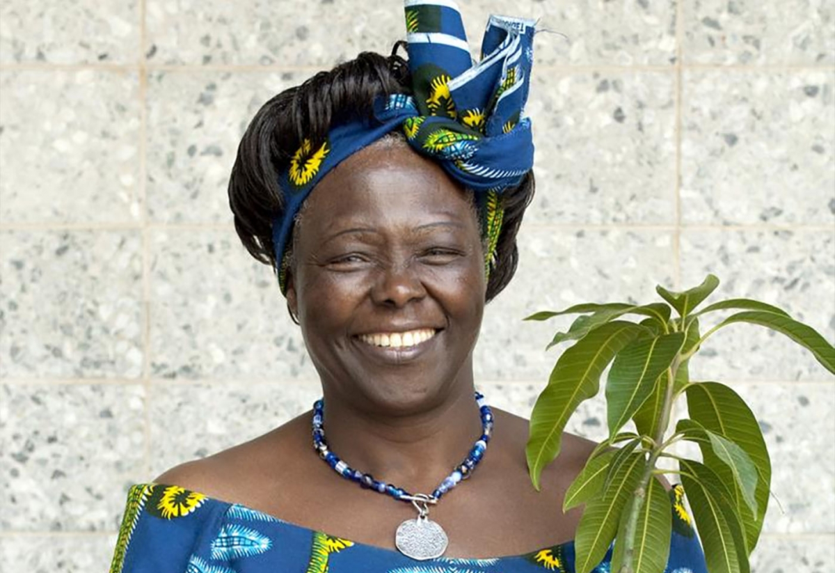 Wangari Maathai, el gran legado verde de África: cómo lideró la reforestación de Kenia 3 Merca2.es Reconocimiento internacional
