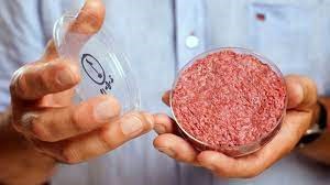 Bruselas ‘abandona’ la carne de laboratorio