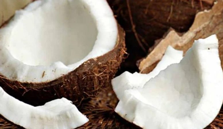 ¿Cuál es el valor nutricional del coco?