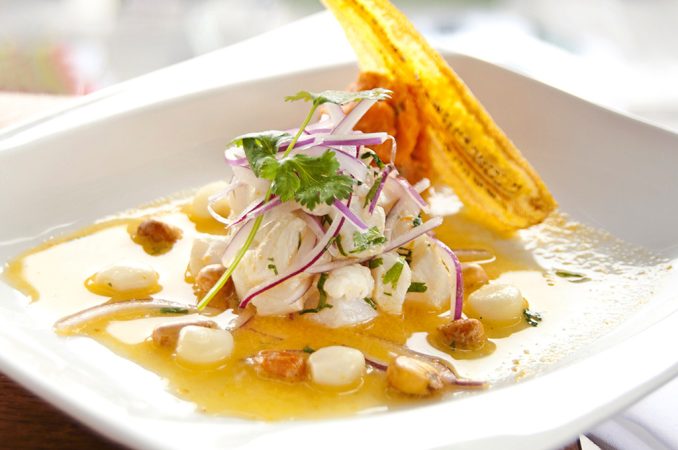 Propiedades que tiene el coco