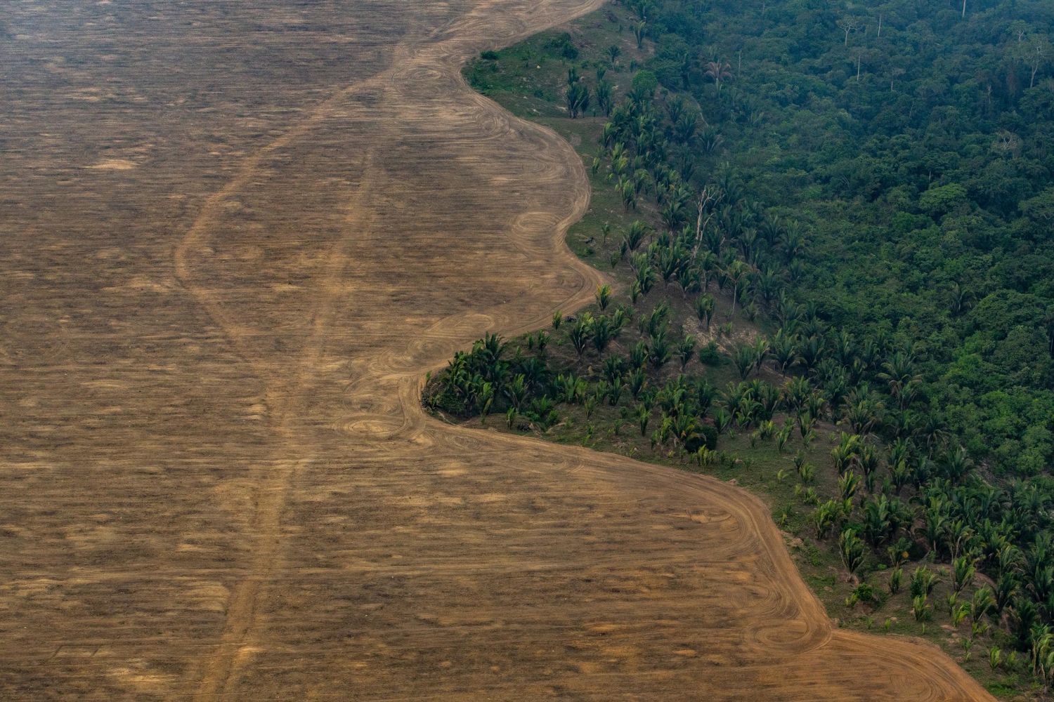 La deforestación es un grave problema que afecta a todos nosotros. 
