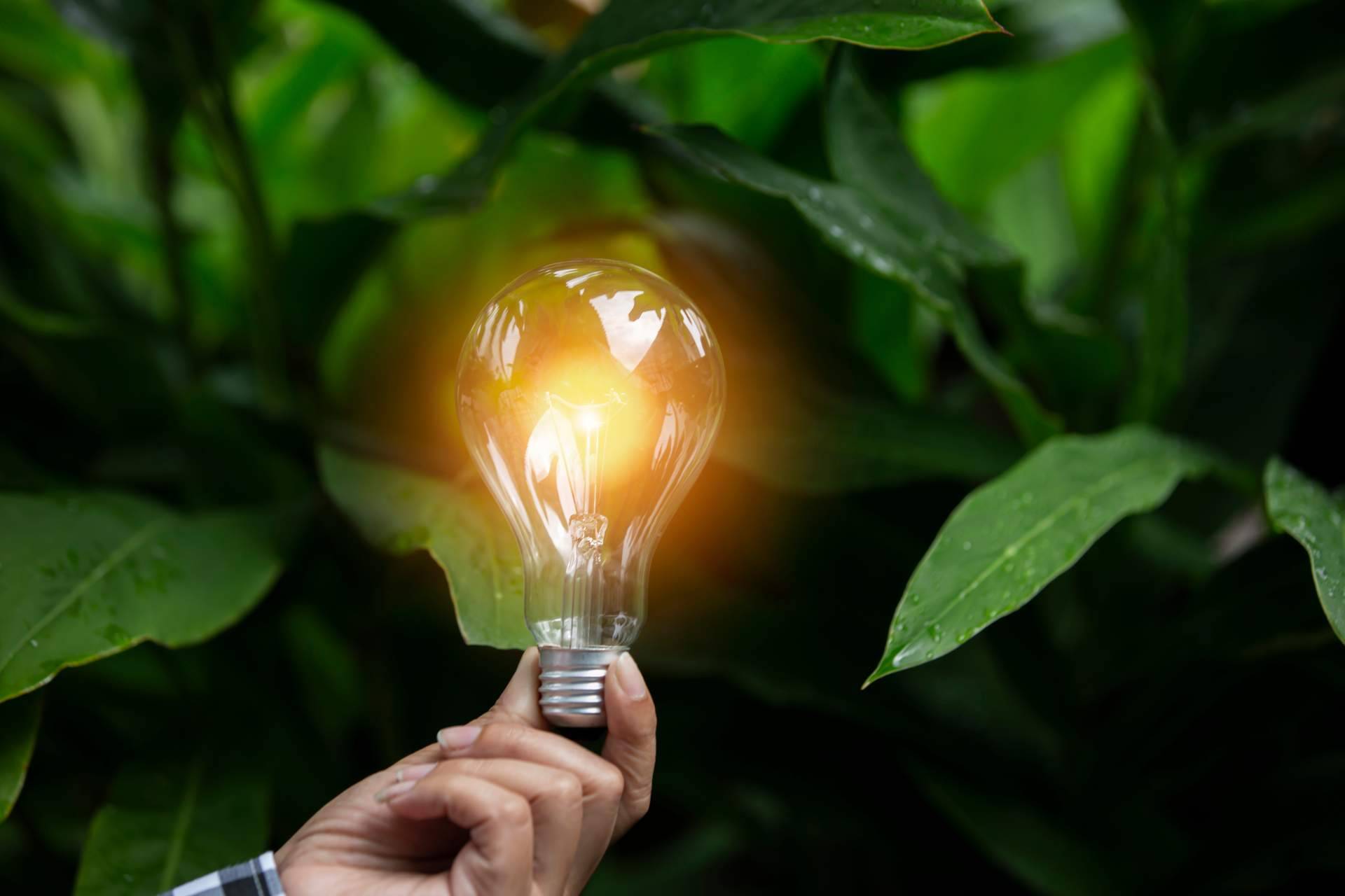 Hacia un futuro sostenible, de la mano de Multienergía Verde