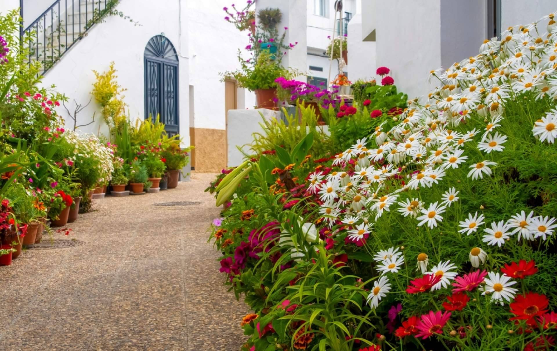 Alquilar un apartamento en setiembre en Cádiz, con la ayuda de Vacalia