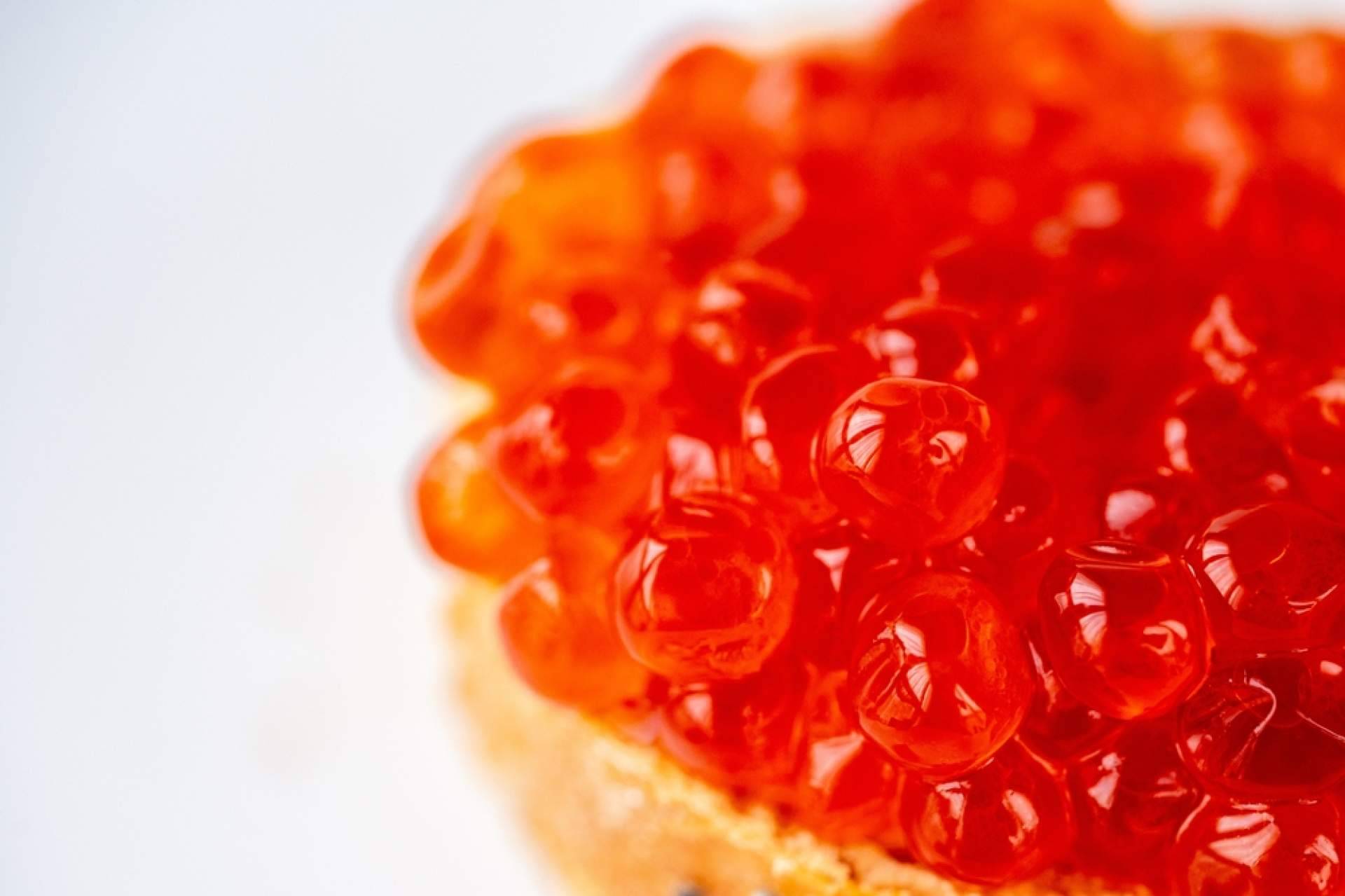 Spherika explica cuáles son las propiedades de las huevas de salmón