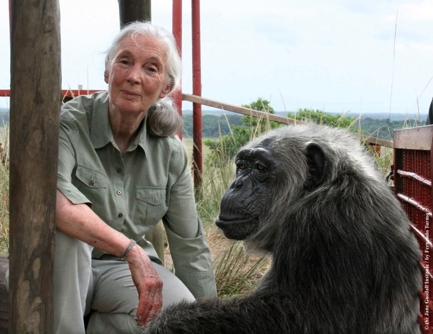 Jane Goodall: Una primatóloga con visión